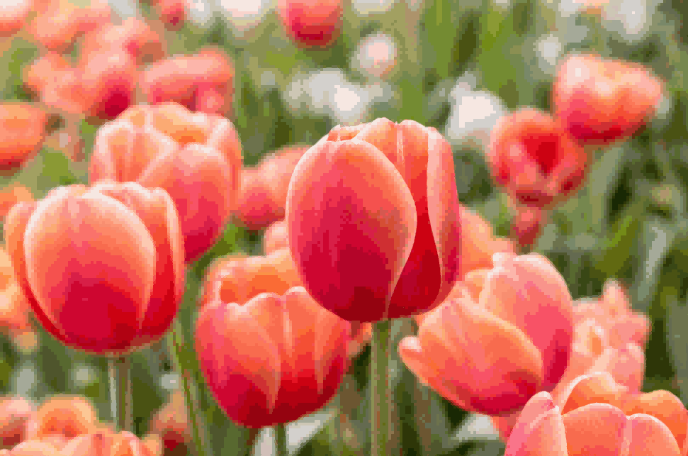 海关数据,Ebpay海关数据,荷兰海关数据 海关数据,Ebpay海关数据,荷兰海关数据