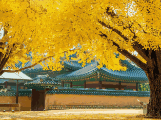 韩国外贸数据,外贸数据,Ebpay外贸数据